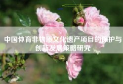 中国体育非物质文化遗产项目的保护与创新发展策略研究
