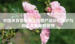 中国体育非物质文化遗产项目的保护与创新发展策略研究