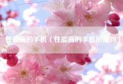 性能高的手机（性能高的手机耐用吗）