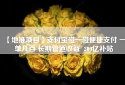 【地推项目】支付宝碰一碰便捷支付 一单几百 长期管道收益  300亿补贴