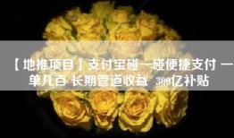 【地推项目】支付宝碰一碰便捷支付 一单几百 长期管道收益  300亿补贴