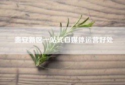 贵安新区一站式自媒体运营好处