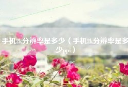 手机2k分辨率是多少（手机2k分辨率是多少ppi）