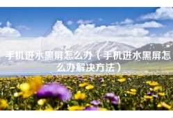 手机进水黑屏怎么办（手机进水黑屏怎么办解决方法）