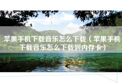 苹果手机下载音乐怎么下载（苹果手机下载音乐怎么下载到内存卡）