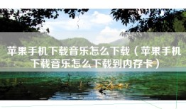 苹果手机下载音乐怎么下载（苹果手机下载音乐怎么下载到内存卡）