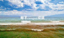 椰羊cocogoat成就