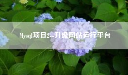 Mysql项目2--升级网站运行平台