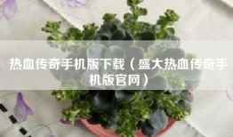 热血传奇手机版下载（盛大热血传奇手机版官网）