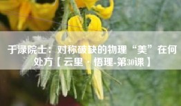 于渌院士：对称破缺的物理“美”在何处方【云里·悟理-第30课】