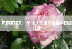 风雨兼程又一年 十大关键词定格中国信托业