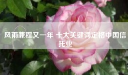 风雨兼程又一年 十大关键词定格中国信托业