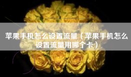 苹果手机怎么设置流量（苹果手机怎么设置流量用哪个卡）
