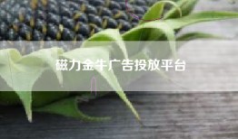 磁力金牛广告投放平台