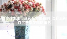 百度搜索排行查询在哪里看啊_怎样查询百度搜索关键词排名