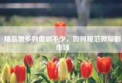 精品增多狗血剧不少，如何规范微短剧市场