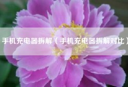 手机充电器拆解（手机充电器拆解对比）