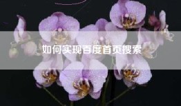 如何实现百度首页搜索
