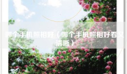 哪个手机照相好（哪个手机照相好看又清晰）