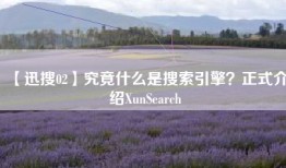 【迅搜02】究竟什么是搜索引擎？正式介绍XunSearch