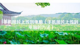 手机图片上传到电脑（手机图片上传到电脑的方法）