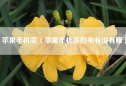 苹果手机买（苹果手机买回来有没有膜）