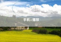 手机vr播放