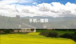 手机vr播放