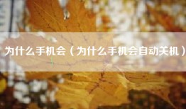 为什么手机会（为什么手机会自动关机）
