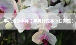 手机修改字体（手机修改字体在哪里）
