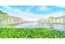 oppo手机otg（OPPO手机oTG在文件夹哪里？）