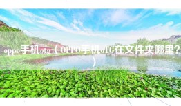 oppo手机otg（OPPO手机oTG在文件夹哪里？）