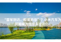 “雷军到访，股票必涨”？小米汽车为何能成为传统车企的？