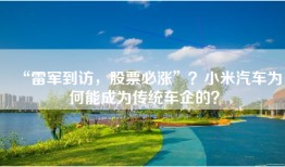 “雷军到访，股票必涨”？小米汽车为何能成为传统车企的？