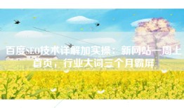 百度SEO技术详解加实操：新网站一周上首页，行业大词三个月霸屏