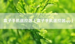 盒子手机遥控器（盒子手机遥控器app）