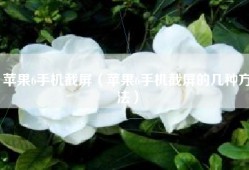 苹果6手机截屏（苹果6手机截屏的几种方法）