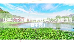 让手机不休眠（如何让手机不休眠但屏幕不亮）