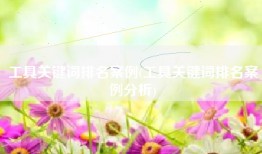 工具关键词排名案例(工具关键词排名案例分析)