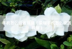 手机怎么设置横屏（荣耀手机怎么设置横屏）