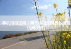 手机扣扣空间（手机扣扣空间怎么设置访问权限）