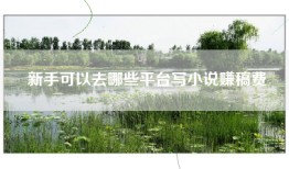 新手可以去哪些平台写小说赚稿费