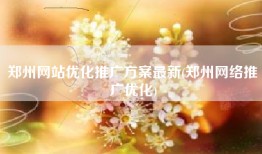 郑州网站优化推广方案最新(郑州网络推广优化)