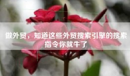 做外贸，知道这些外贸搜索引擎的搜索指令你就牛了