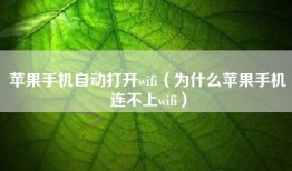 苹果手机自动打开wifi（为什么苹果手机连不上wifi）