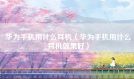 华为手机用什么耳机（华为手机用什么耳机效果好）