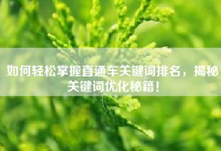 如何轻松掌握直通车关键词排名，揭秘关键词优化秘籍！
