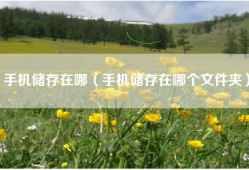 手机储存在哪（手机储存在哪个文件夹）