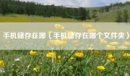 手机储存在哪（手机储存在哪个文件夹）