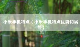 小米手机特点（小米手机特点优势和劣势）